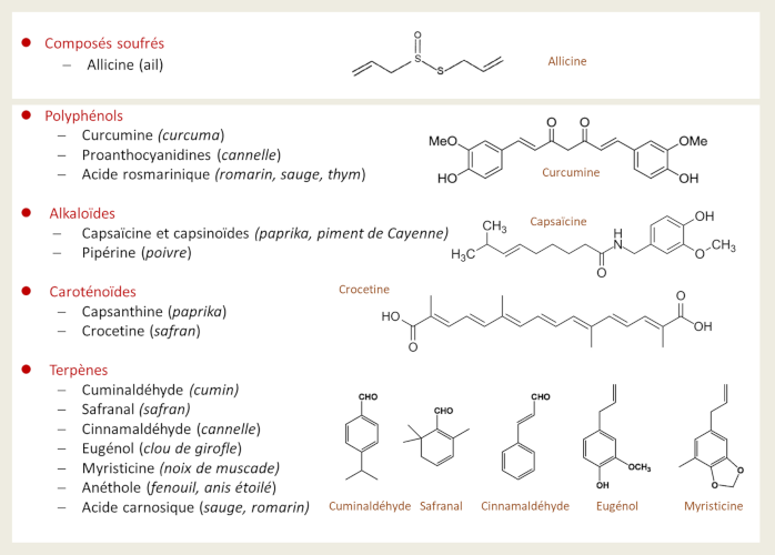 香料和芳香草药对我们的健康有什么好处4.png